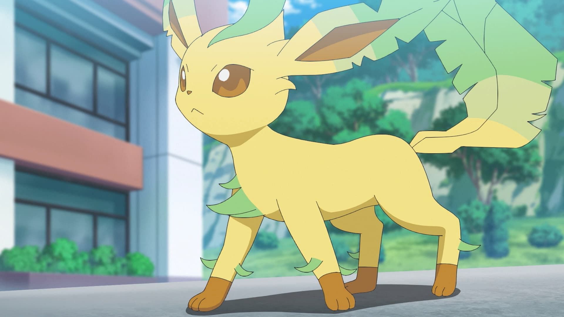 Leafeon as seen in the anime (Image via The Pokemon Company)